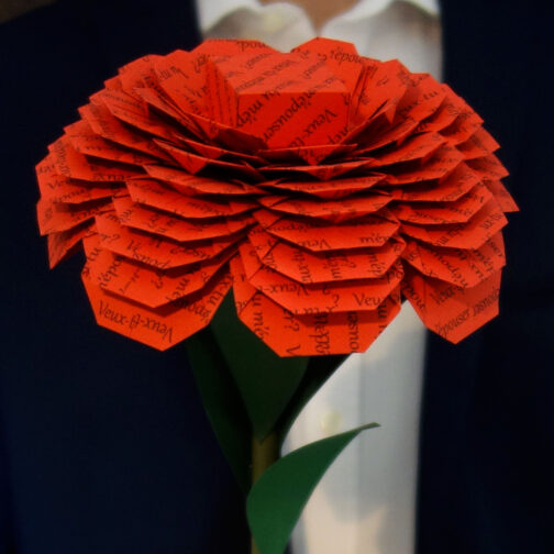 demande mariage rose rouge