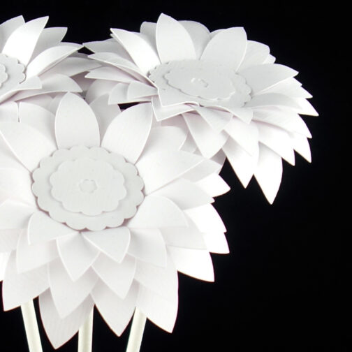 fleurs design blanc