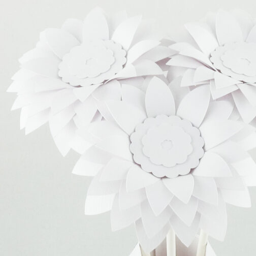 fleurs papier blanc