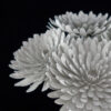 flower design art